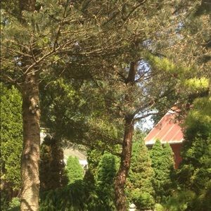 Meet your Posher, Aubry